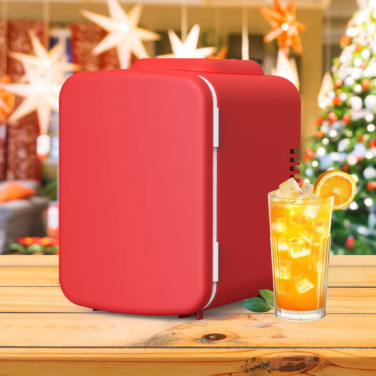 Portable Mini Fridge and Warmer