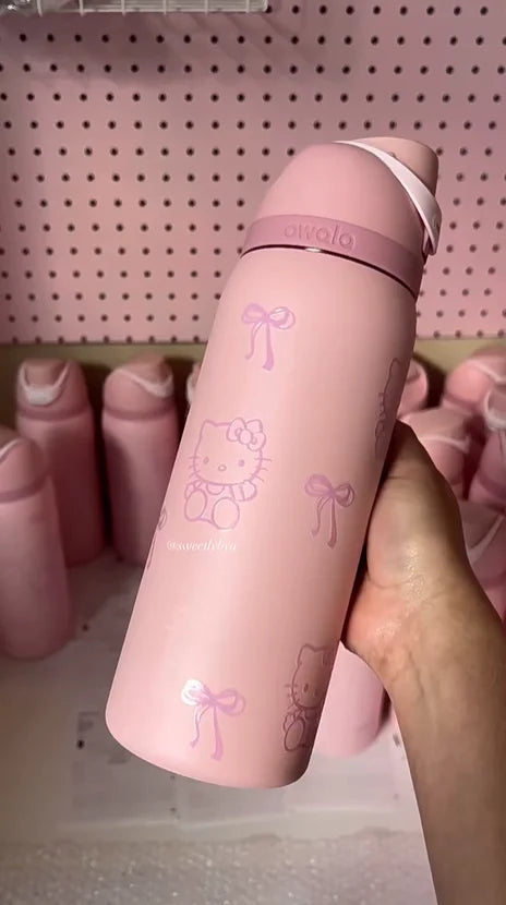 Insulated Water Bottle | FreeSip Stainless Steel Bottle