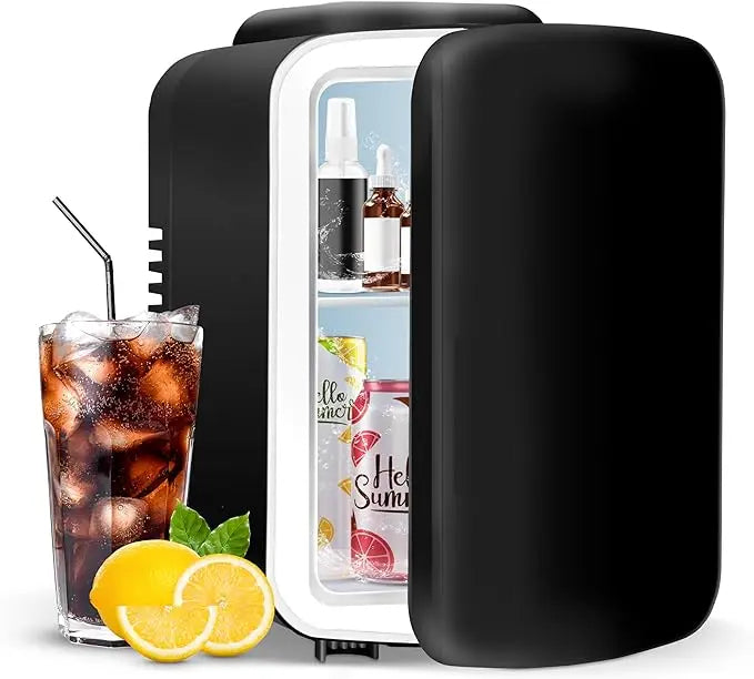 Portable Mini Fridge and Warmer