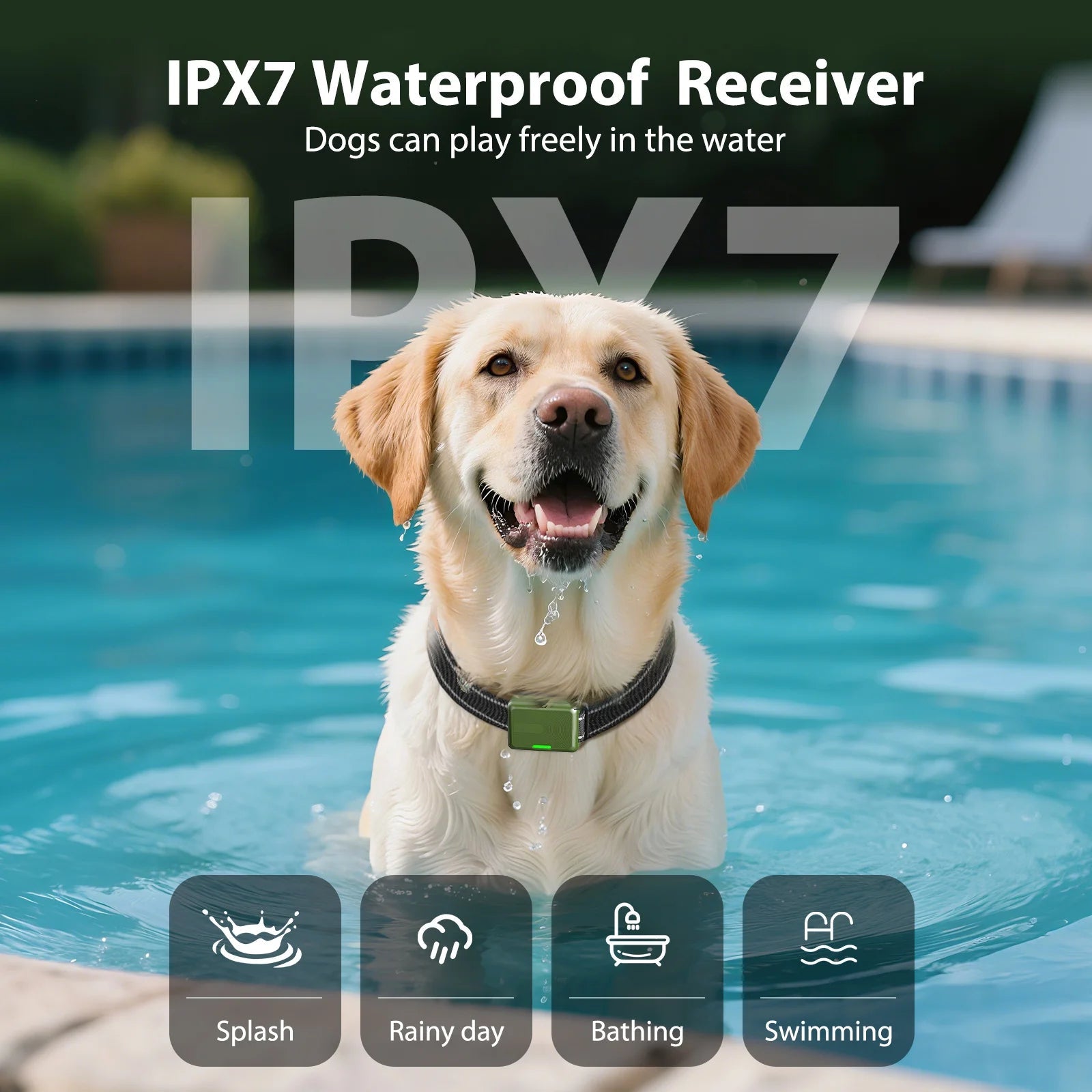 Dog Training Collar | Waterproof Rechargeable E-Collar