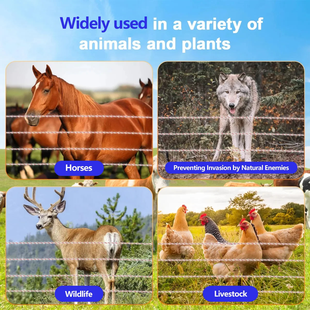 Solar Electric Fence Energizer